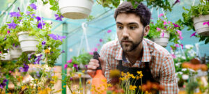 How to Turn Your Garden with Landscape Gardeners in Norwich