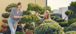 top 2026 garden trends from norwich landscapers